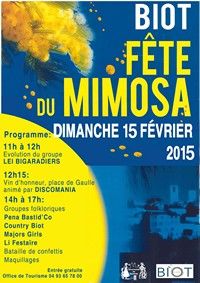 Fête du Mimosa 2015. Le dimanche 22 février 2015 à Biot. Alpes-Maritimes.  11H00